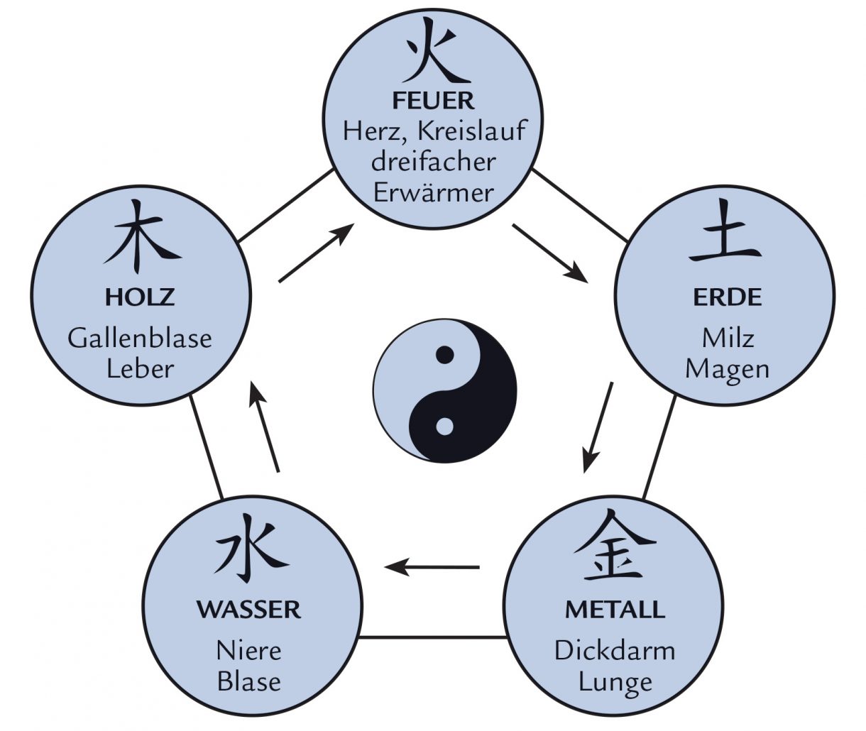 Qi Gong nach den fünf Elementen - Qi Gong-Sylt mit Renate Neumann